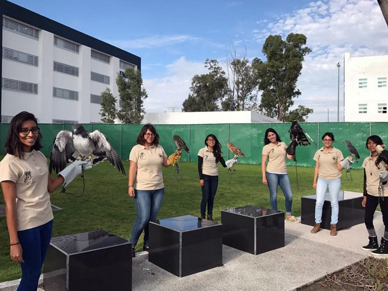 UMA Konkon, proyecto para conservación de vida silvestre