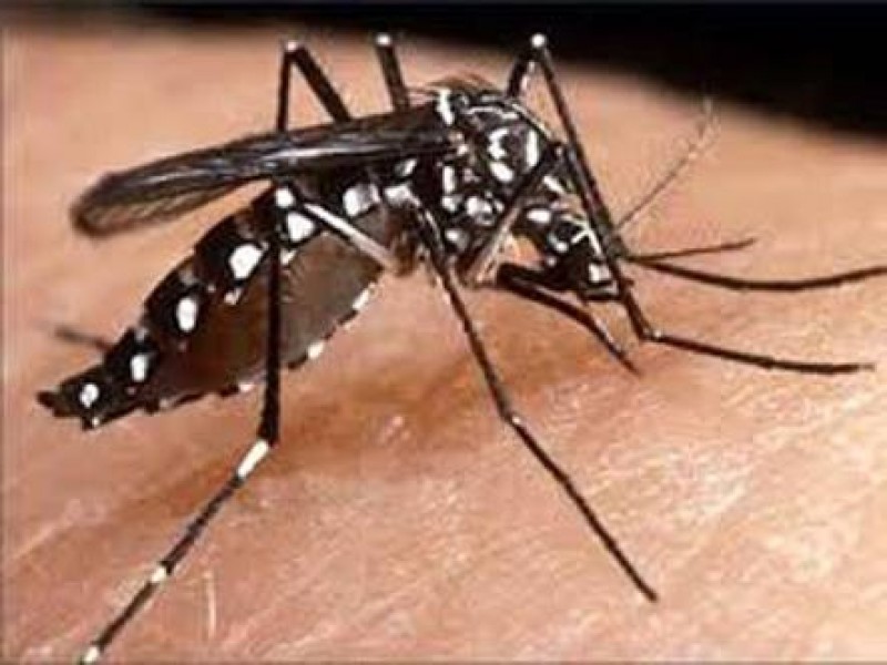 Un caso de dengue detectado en Querétaro