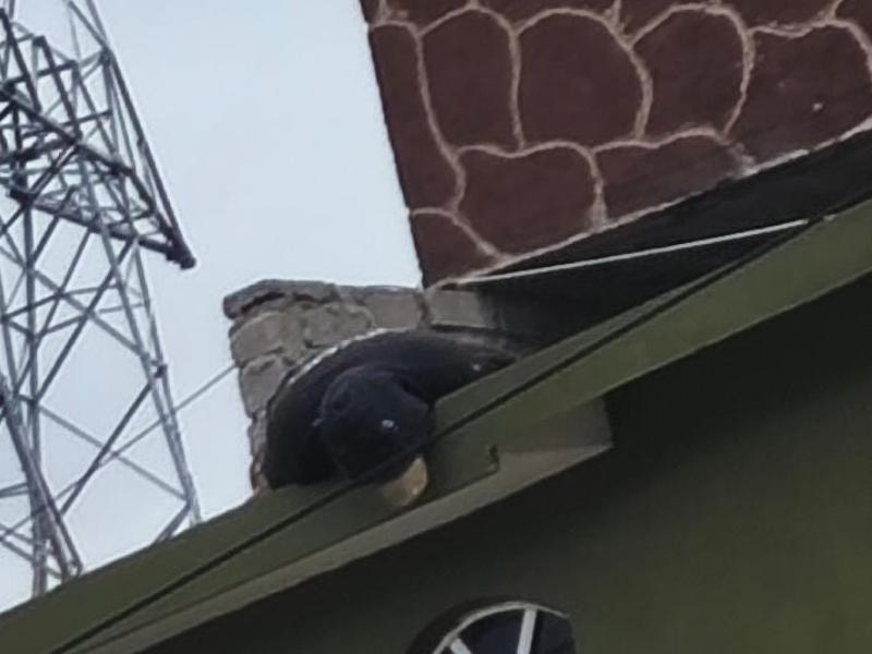 Un hombre se electrocuta en un tercer piso