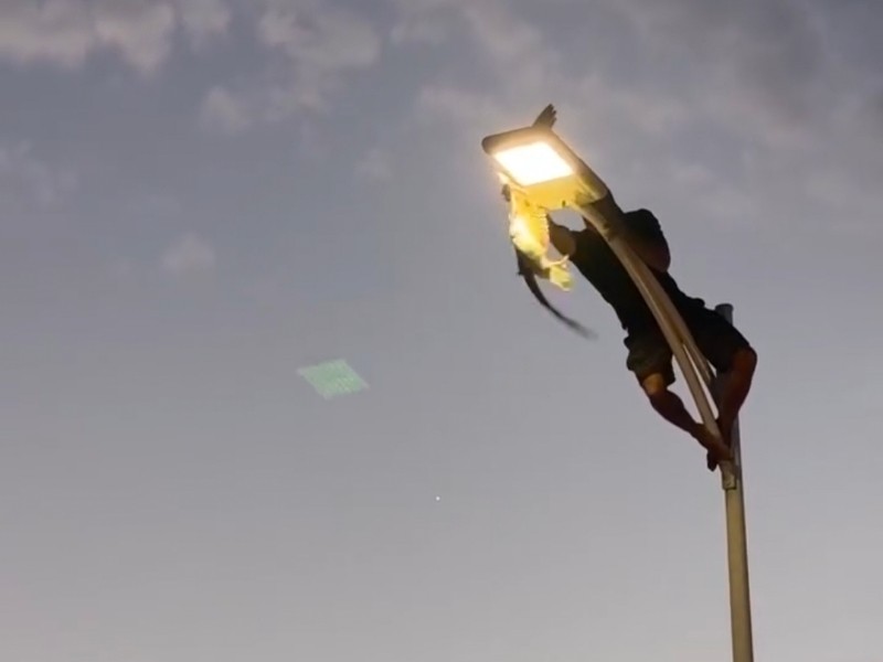 Un joven se pone en riesgo para rescatar a una gaviota