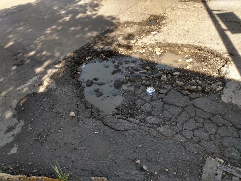 Un megabache afecta a vecinos de Los Volcanes