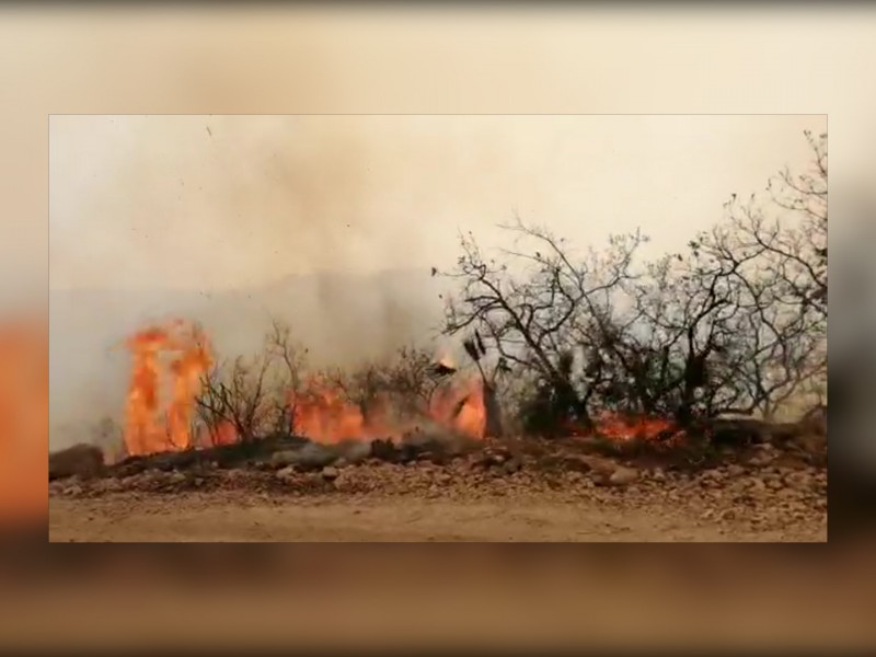 Un muerto y miles de hectáreas siniestradas: Guerrero