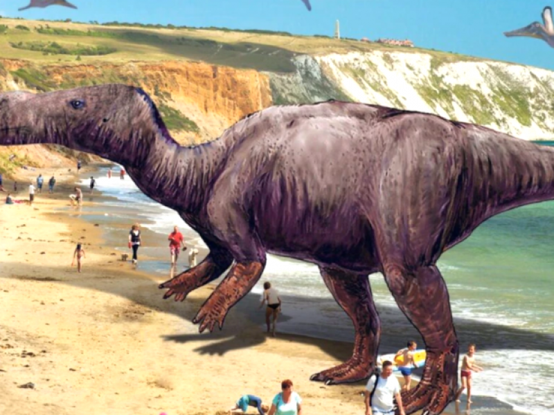 Un paleontólogo veterano descubre una nueva especie de dinosaurio