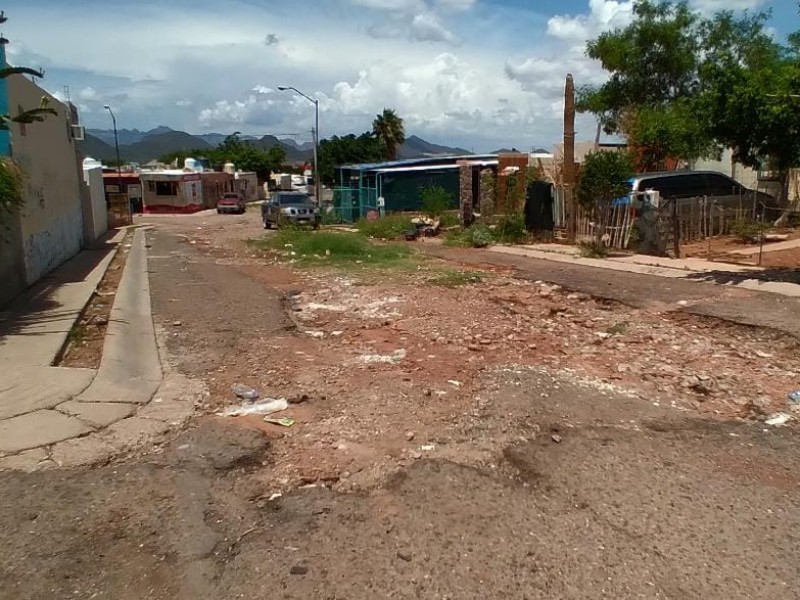 Un solo bache es la Avenida Tordo en Ocotillo 1