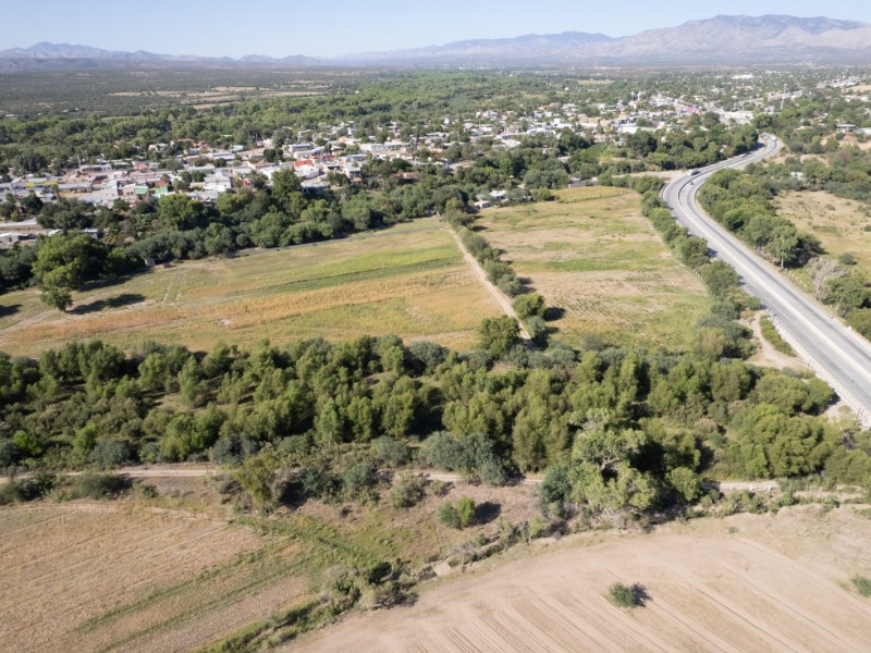 Un año tardará el dictamen ecológico del ferrocarril en Ímuris