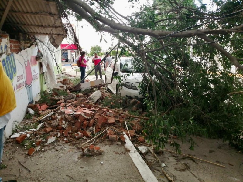 Una persona lesionada y daños materiales deja tornado en Guamúchil