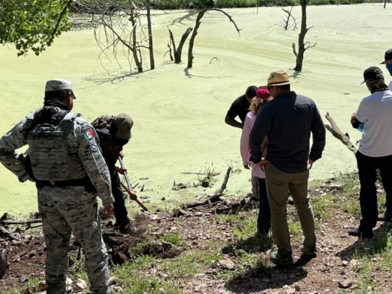 Una persona sin vida en fosa clandestina fue localizada por colectivo MBN