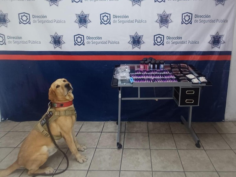 Unidad Canina asegura droga en paquetería de Torreón Unidad Canina asegura droga en paquetería de Torreón