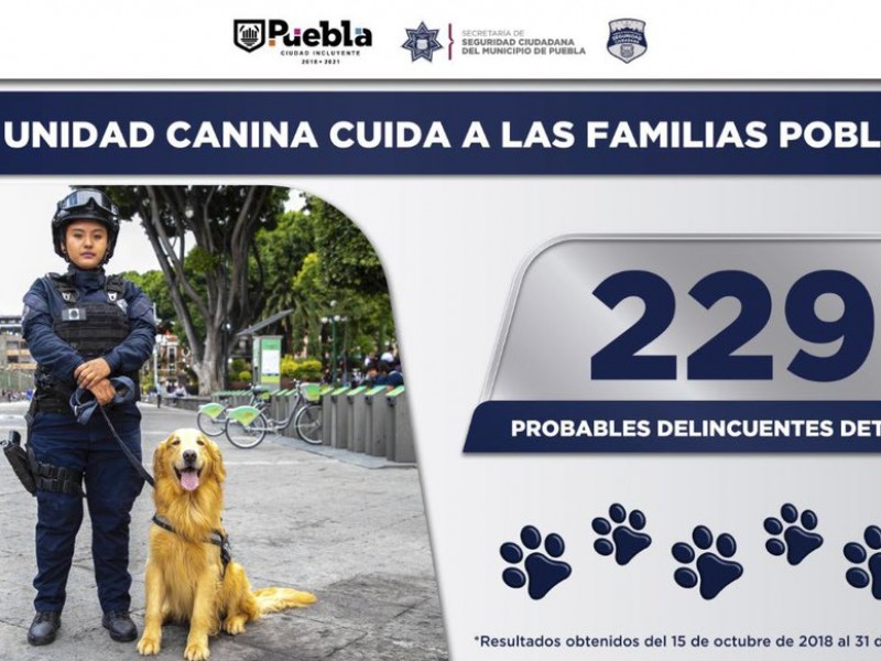 Unidad canina combate la delincuencia de Puebla Capital