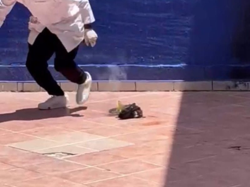 Universidad aplicara medidas disciplinarias a estudiantes que fueron expuestos por maltrato animal