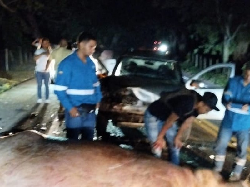 Uno de los hipopótamos de Pablo Escobar provocó accidente vial