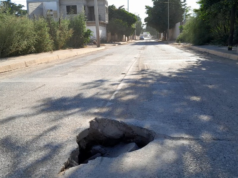 !Uno más!, se abre socavón en la calle Encinos de Guasave