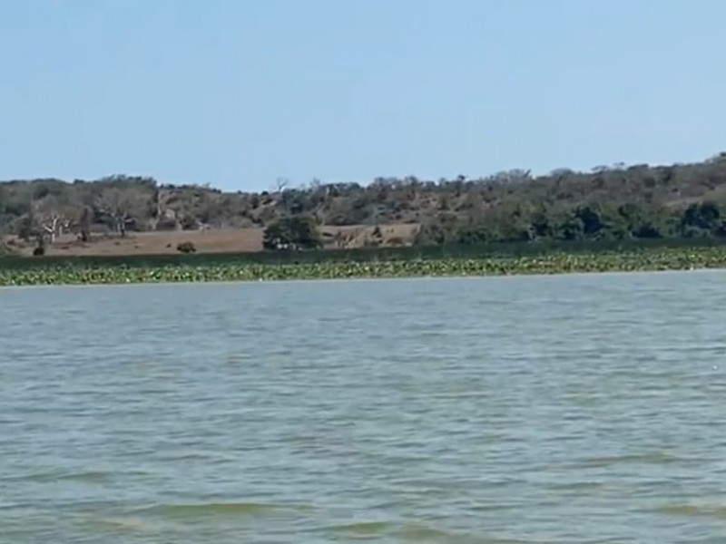 Urge atender condiciones de la laguna San Julián:Diputada