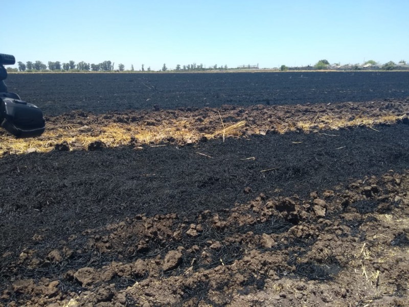 Urge cambiar a un estado agroecológico