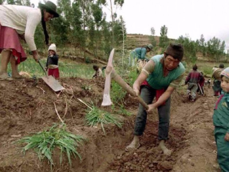 Urge definir programa para reforzar la agricultura