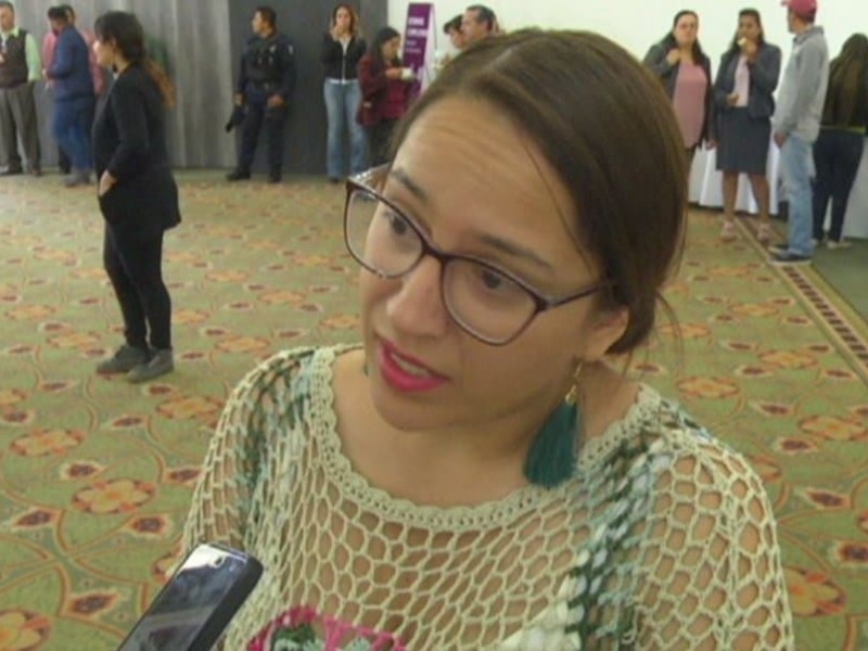 Urge legislar en torno al aborto: Emilia Pesci