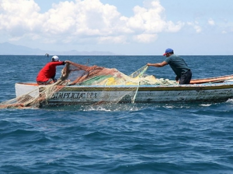 Urge ordenamiento pesquero en Sinaloa