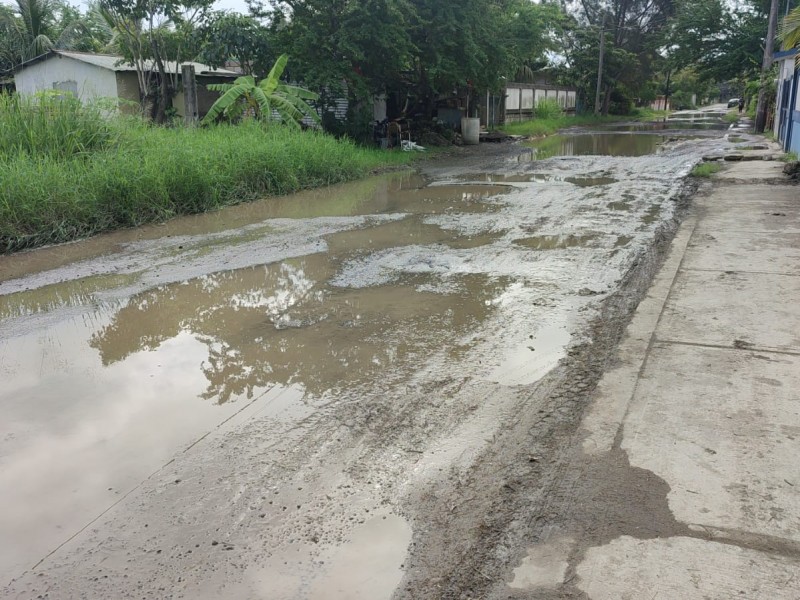 Urge pavimentación de calles en la colonia la Mata