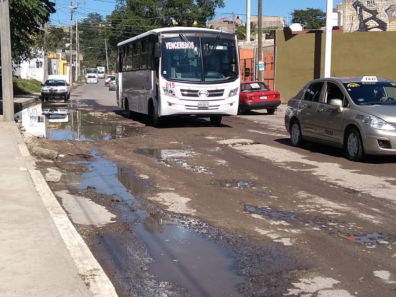 Urge reencarpetamiento en Camino viejo a los Metates