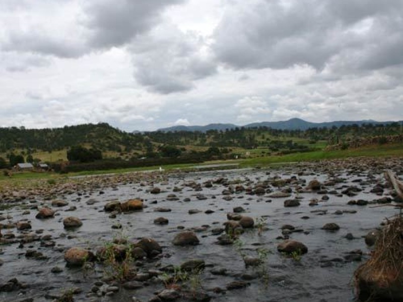 Urge reforestar Cuenca Alta del Nazas; Semarnat