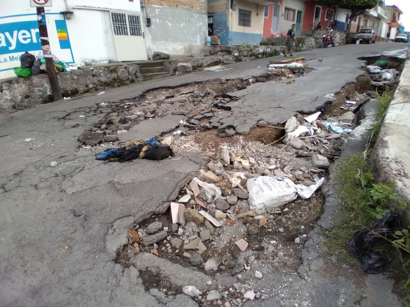 Urge reparar la calle Lopez Rayón