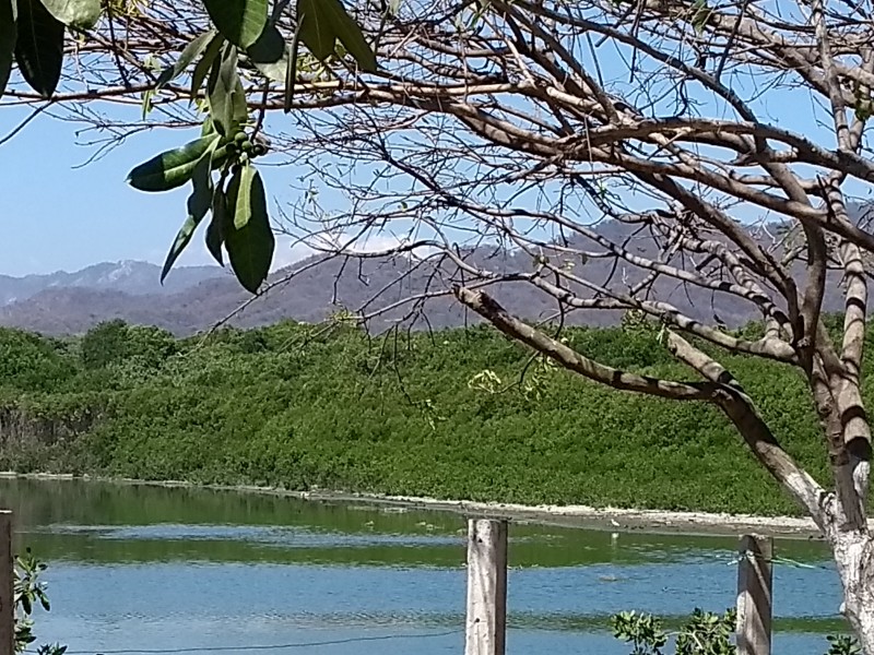 Urge rescatar la laguna Valle de las Garzas