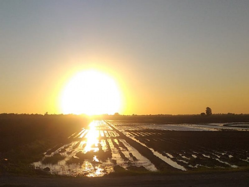 Urge rescate, corazón agrícola de México en riesgo de desaparecer