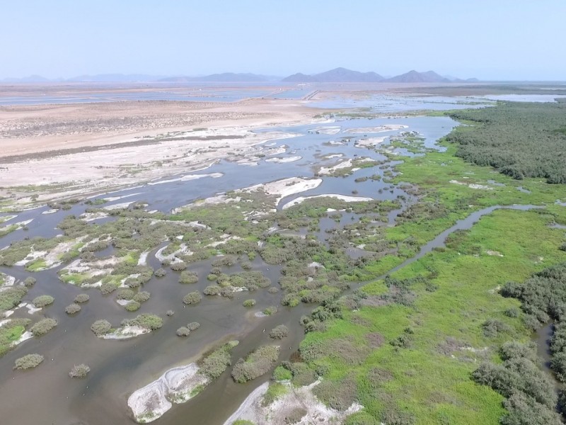 Urge se legisle para frenar contaminación en Bahía de Ohuira