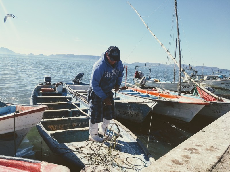Urgen apoyos para pescadores de la región norte de Sinaloa