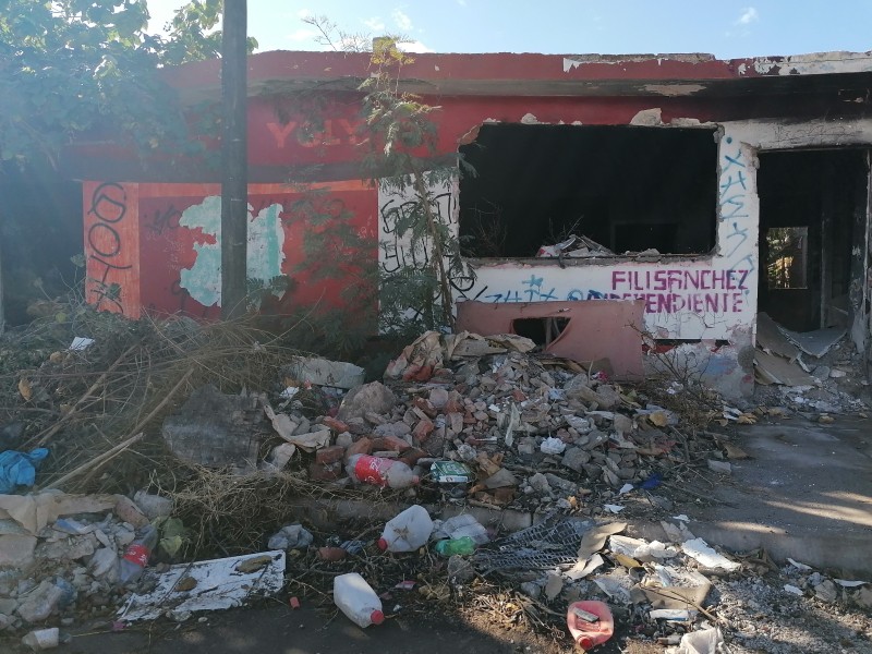 Urgen atención a solares baldíos y casas abandonadas