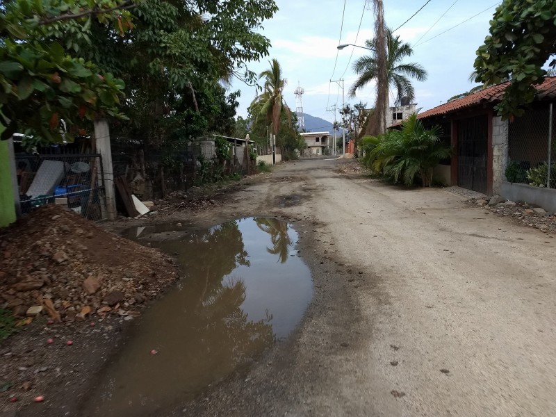 Urgen fumigación contra moscos en San José Ixtapa