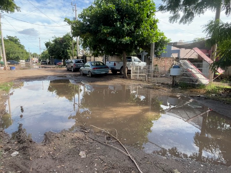 Urgen motoconformado de calles en la colonia Las Garzas, Guasave