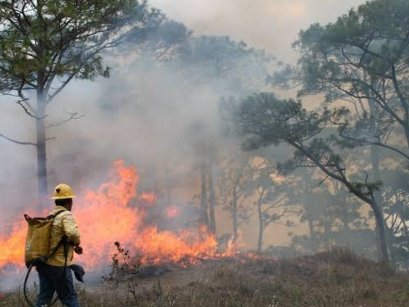 Urgen reforzar medidas de prevención de incendios