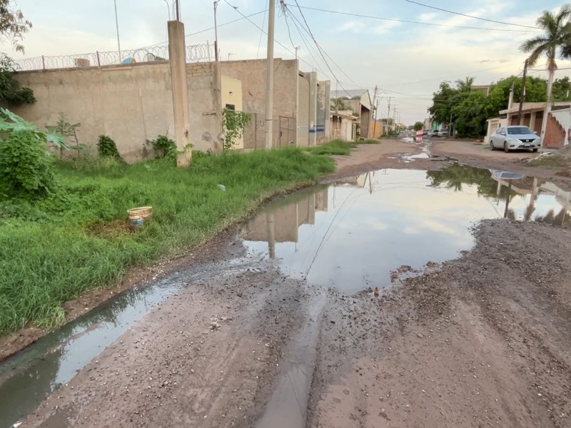Urgen solución al colapso sanitario en la colonia San Fernando, Guasave