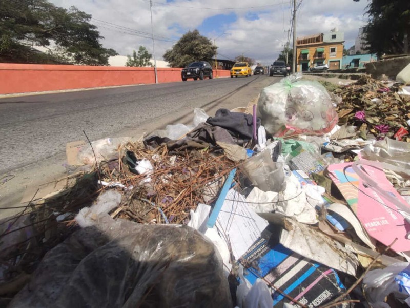 Urgente encontrar lugar para depositar basura: diputada
