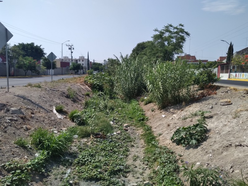 Urgente limpieza del Dren: Unidad Jardines y Santa Cecilia