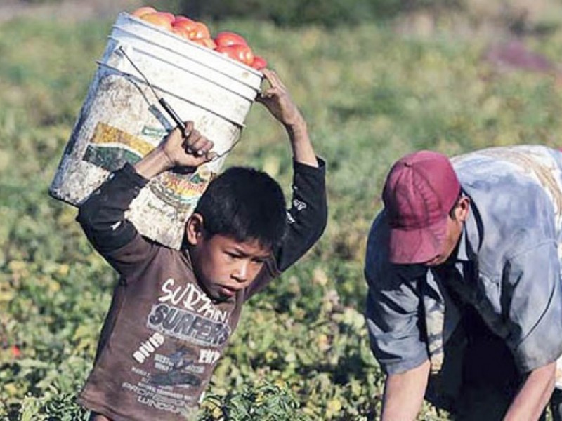 Uso de tecnologías ayudaría a erradicar trabajo infantil