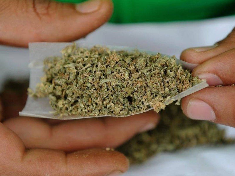 Uso legal de la marihuana provocará incremento de otras sustancias