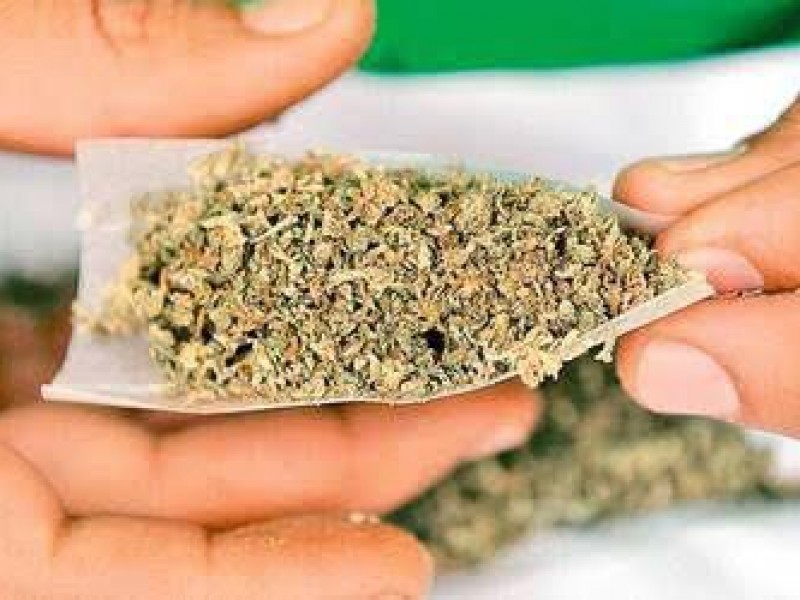 Uso lúdico de mariguana se puede prestar para diversión: Canacintra