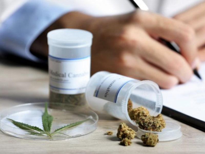 Uso medicinal de la marihuana será analizada en el 2021