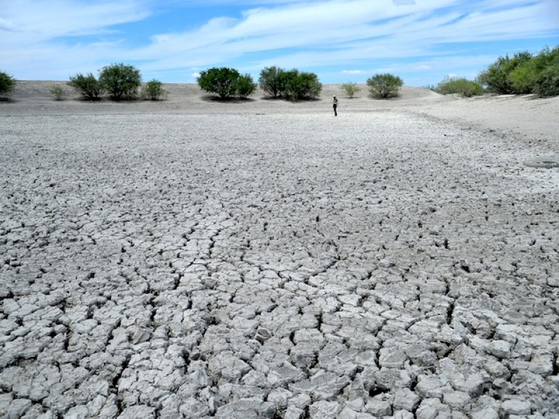 Utilizar el agua como mercancía está devastando a La Laguna