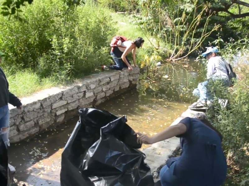 Va limpieza en 4 lagunas de Veracruz