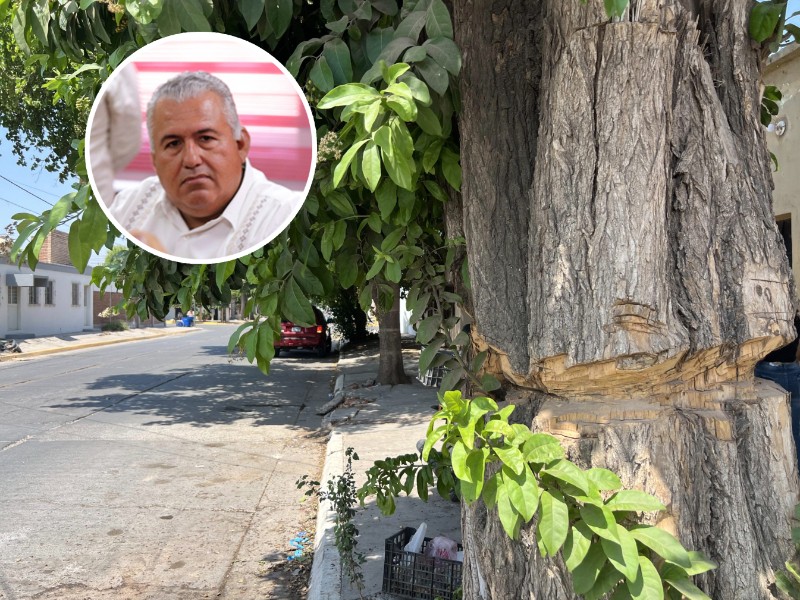 Va Profepa contra empresas de Guasave por daños ambientales