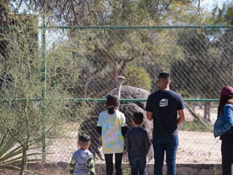 Vacaciones ! Niños entran gratis al Centro Ecológico en Sonora