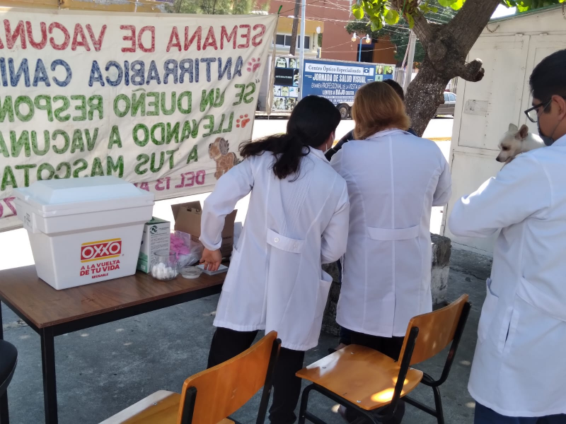 Inicia vacunación canina en Salina Cruz