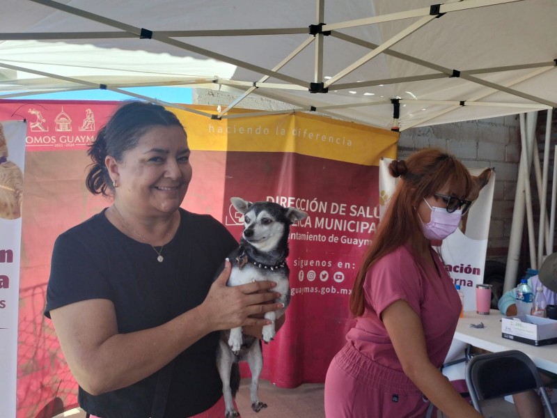Vacunan a 92 mascotas en San Carlos