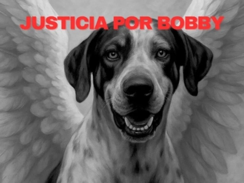 Valentín “N” es vinculado a proceso por crueldad animal a Bobby