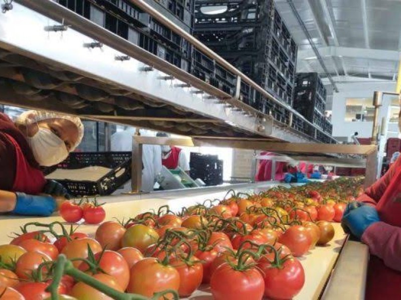 Valor de exportaciones agroalimentarias, más alto en 29 años