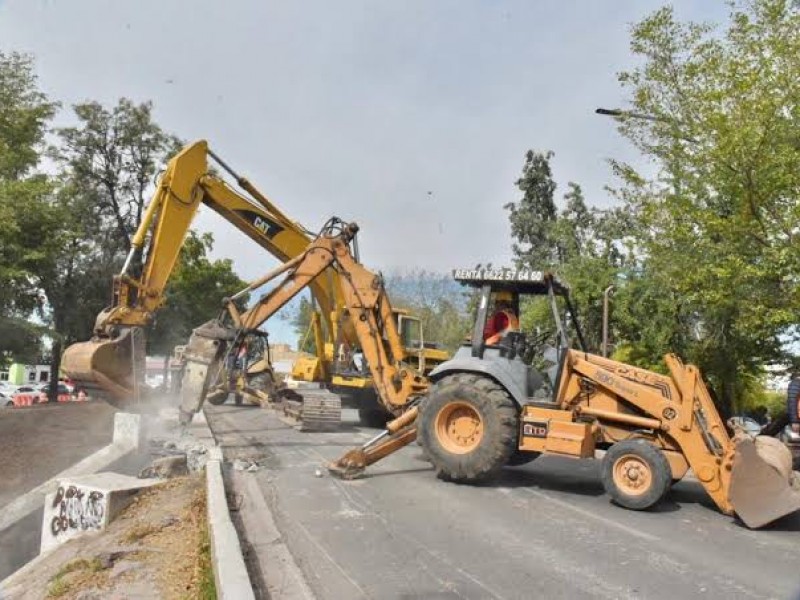 Van 11 árboles trasplantados por obra vial en Hermosillo