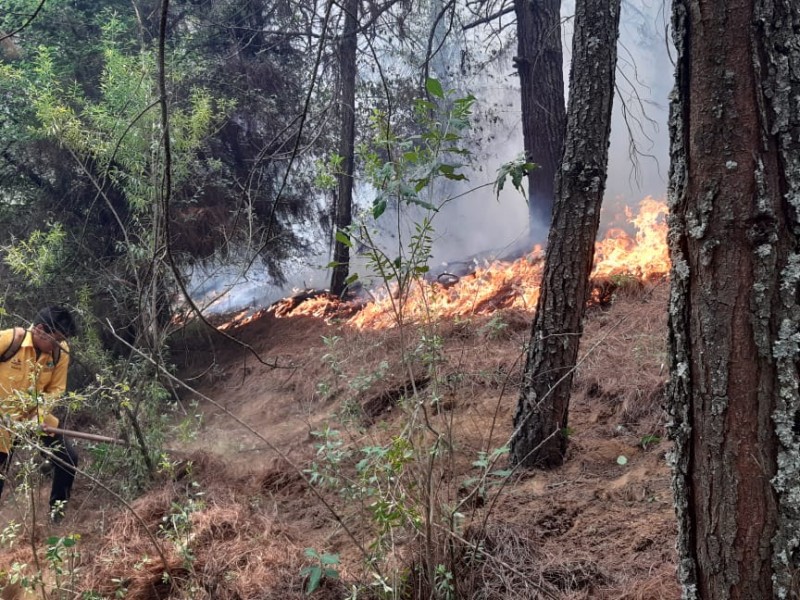 Van 13 municipios sumados a brigadas contra incendios en Michoacán